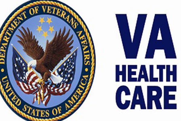 A Private Sector Cure for a Terminally Ill Veterans Administration ...